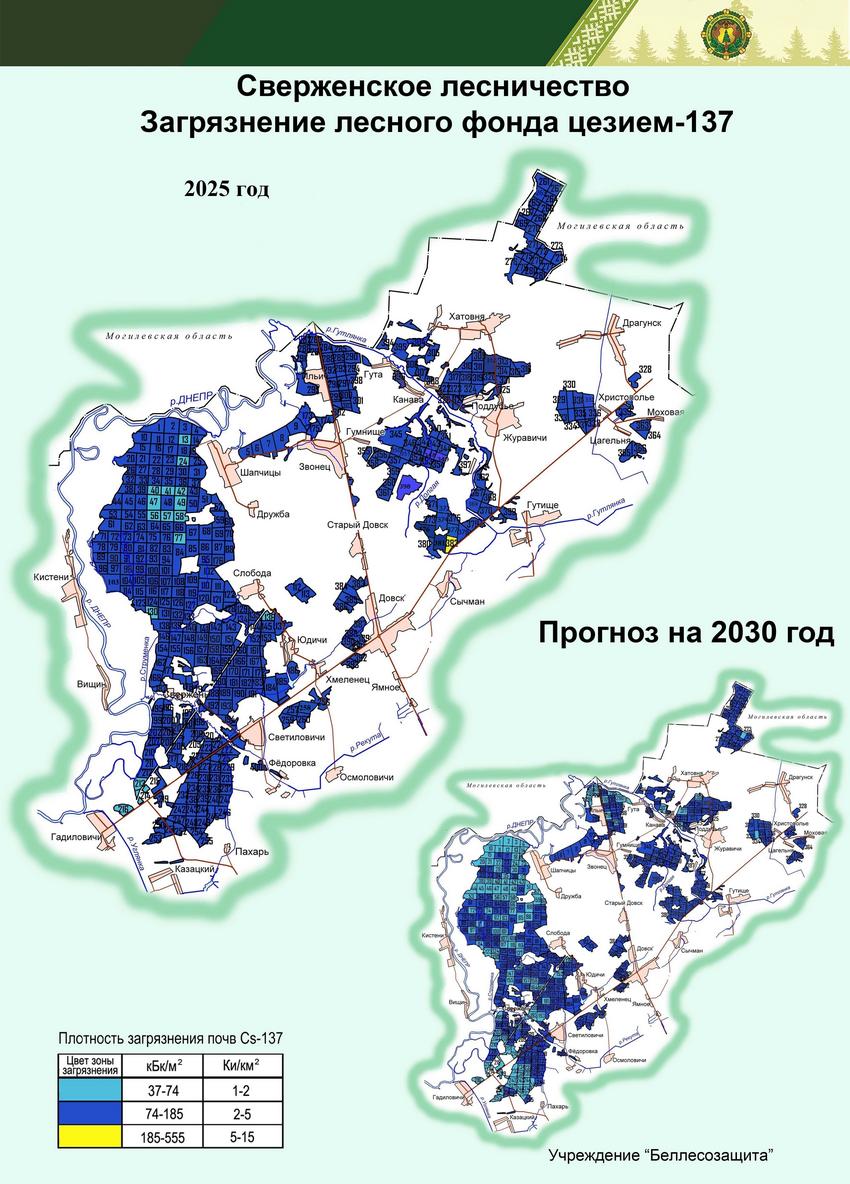 Сверженское лесничество 