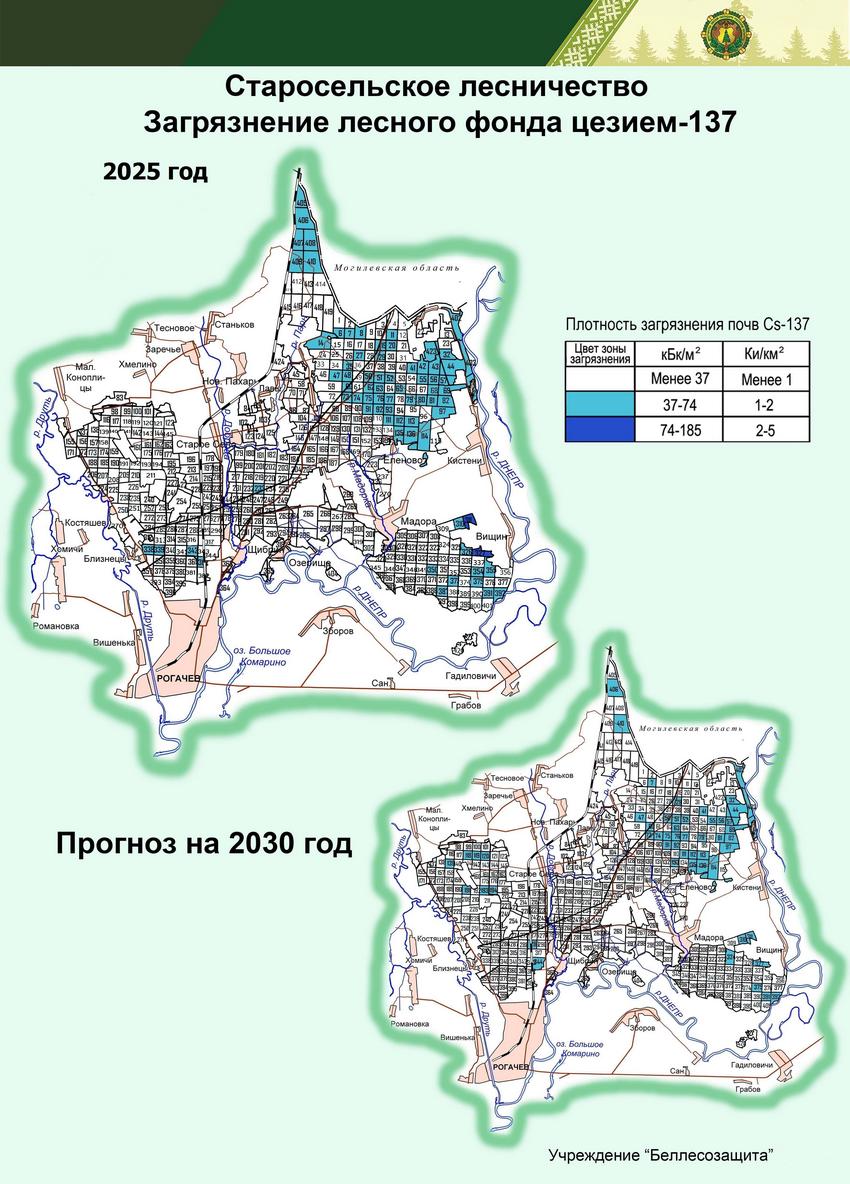 Старосельское лесничество 