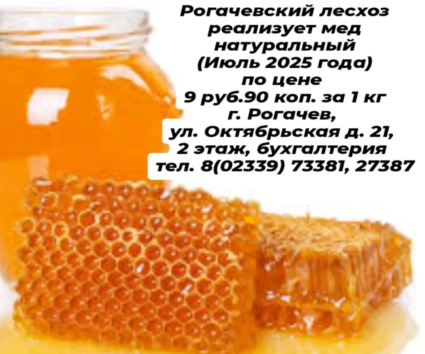 1755061668977
