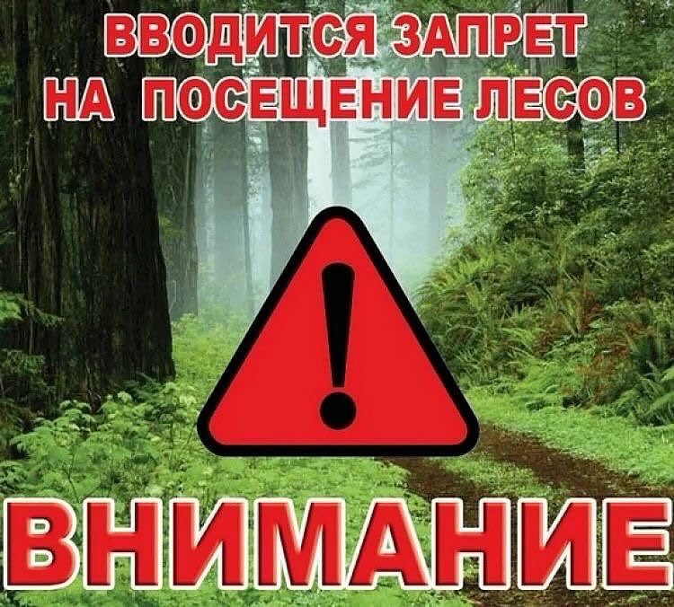 изображение viber 2026 05 08 14 06 50 170