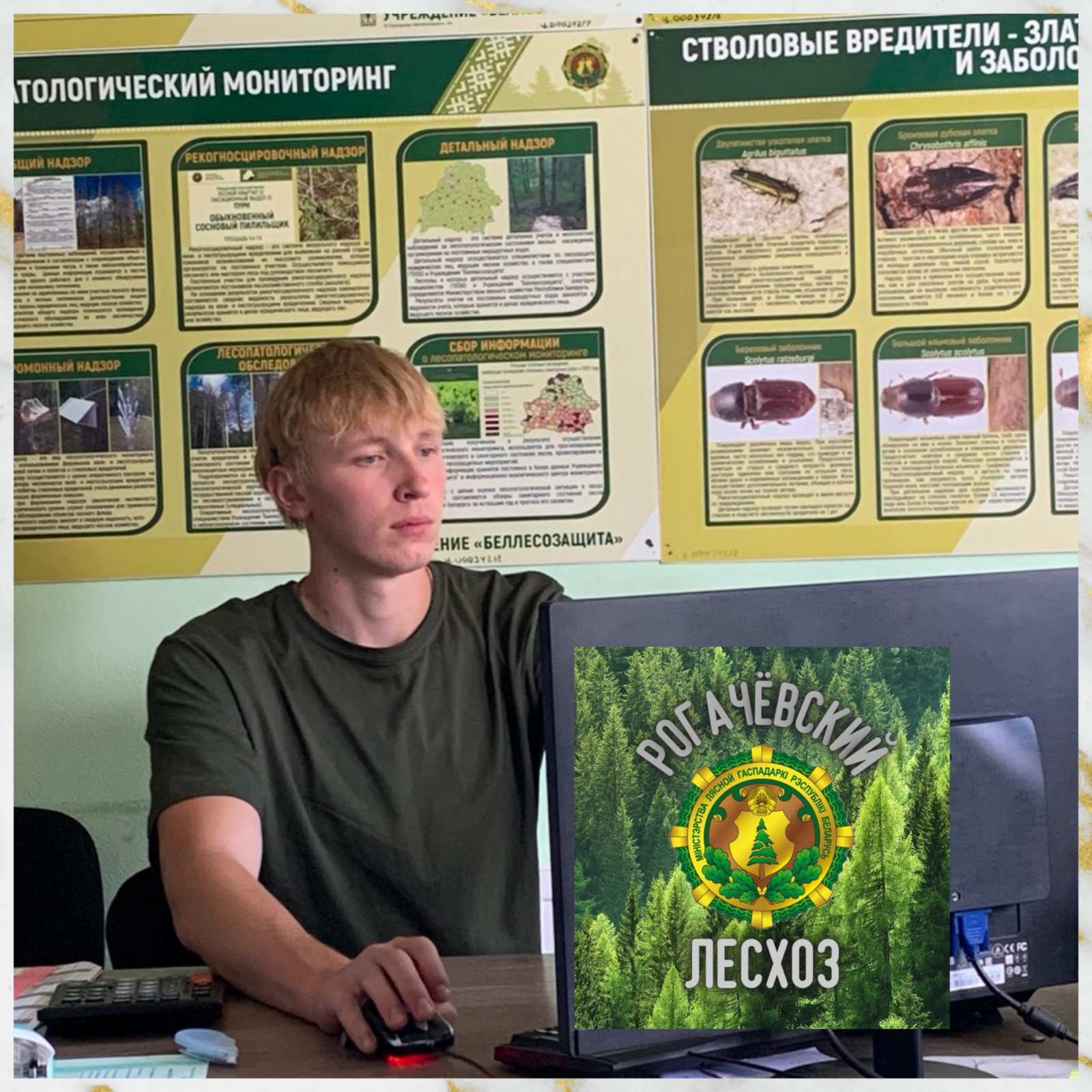 изображение viber 2026 08 11 13 26 38 728