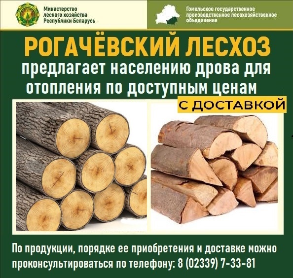 листовка дрова исправл2