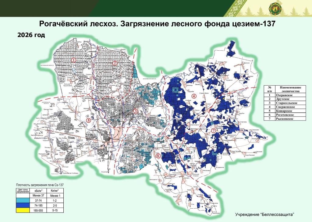 Рогачевский лесхоз