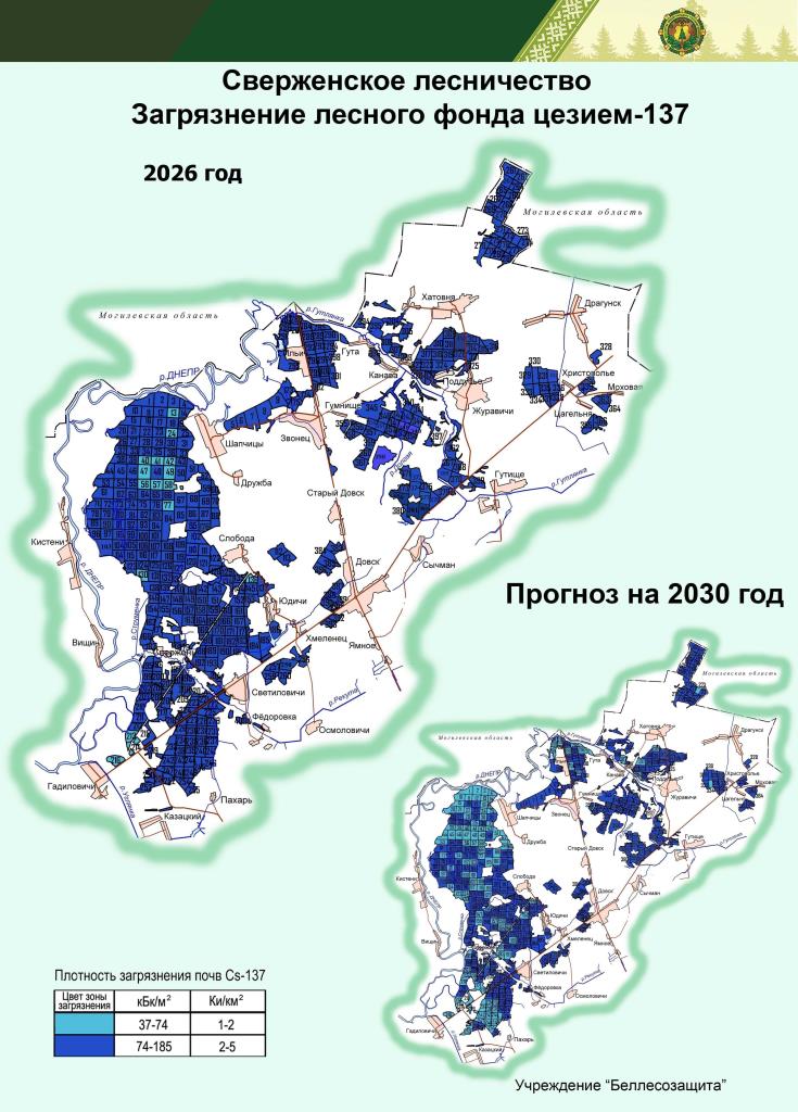 Сверженское лесничество 2 