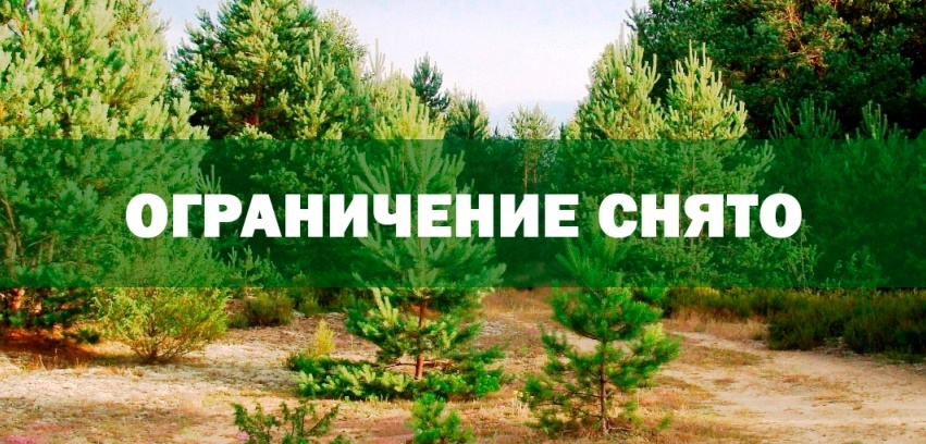 снятьограничение2026