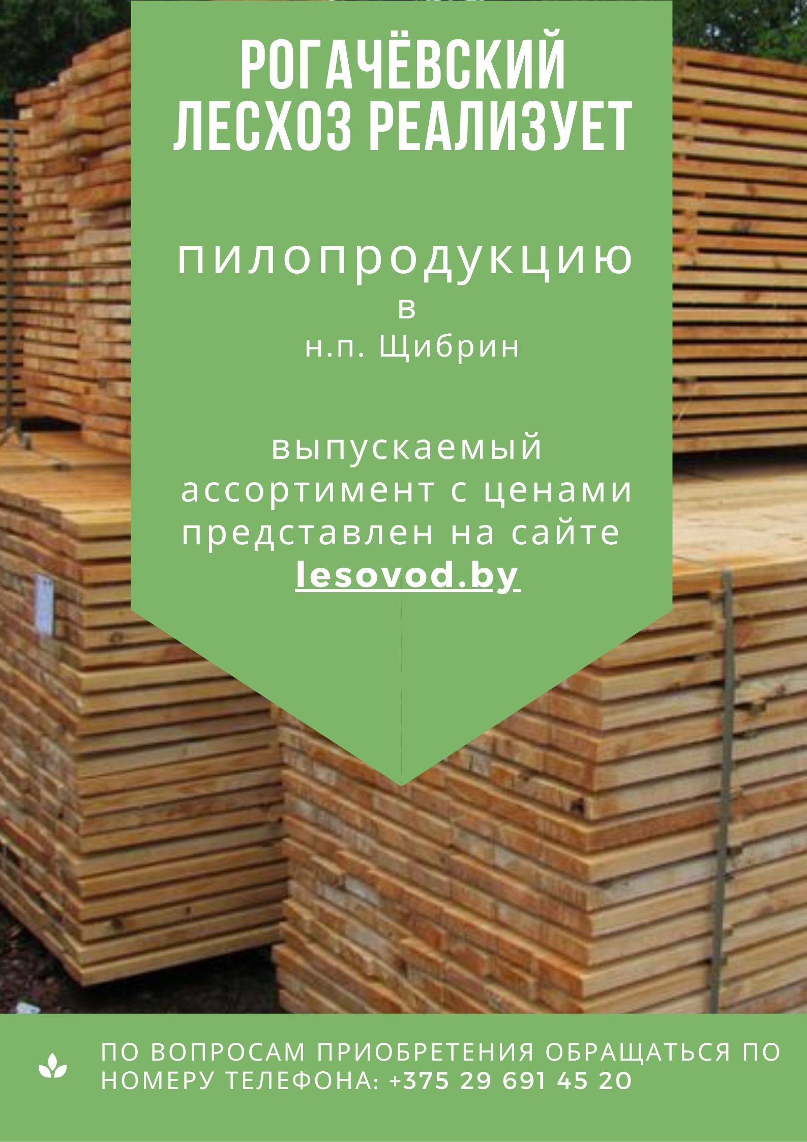 РОГАЧЁВСКИЙ ЛЕСХОЗ РЕАЛИЗУЕТ 9