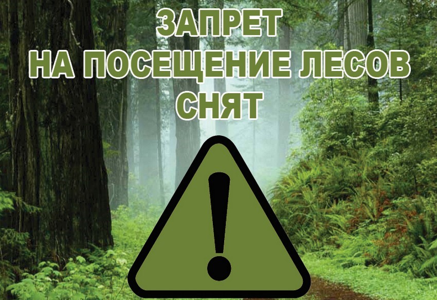 запрет снят2